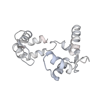 30447_7cr4_C_v1-3
human KCNQ2-CaM in complex with ztz240