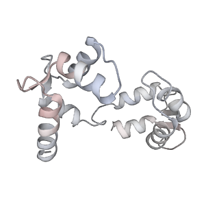 30447_7cr4_E_v1-3
human KCNQ2-CaM in complex with ztz240