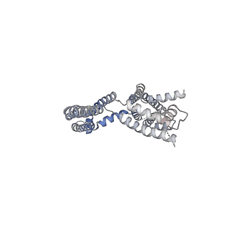 30447_7cr4_F_v1-3
human KCNQ2-CaM in complex with ztz240