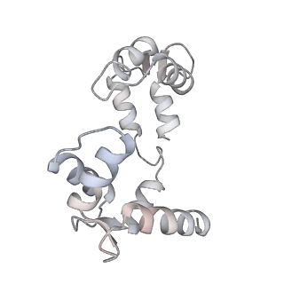 30447_7cr4_G_v1-3
human KCNQ2-CaM in complex with ztz240