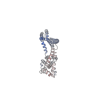 30448_7cr7_A_v1-2
human KCNQ2-CaM in complex with retigabine