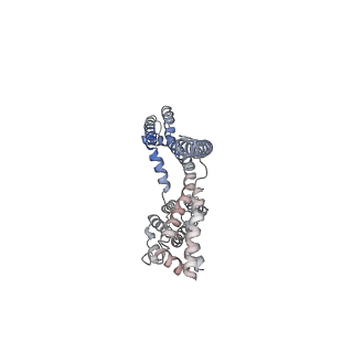 30448_7cr7_A_v1-3
human KCNQ2-CaM in complex with retigabine