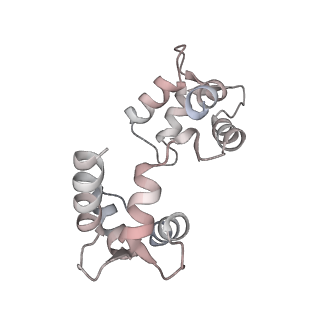 30448_7cr7_C_v1-2
human KCNQ2-CaM in complex with retigabine