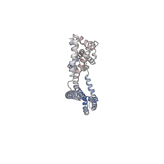 30448_7cr7_D_v1-2
human KCNQ2-CaM in complex with retigabine