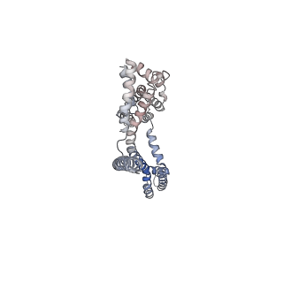 30448_7cr7_D_v1-3
human KCNQ2-CaM in complex with retigabine