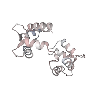 30448_7cr7_E_v1-2
human KCNQ2-CaM in complex with retigabine