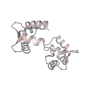 30448_7cr7_E_v1-3
human KCNQ2-CaM in complex with retigabine