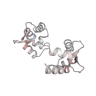 30448_7cr7_F_v1-2
human KCNQ2-CaM in complex with retigabine