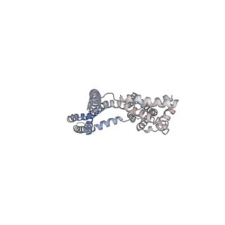 30448_7cr7_G_v1-2
human KCNQ2-CaM in complex with retigabine