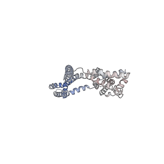 30448_7cr7_G_v1-3
human KCNQ2-CaM in complex with retigabine