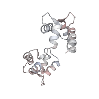 30448_7cr7_H_v1-2
human KCNQ2-CaM in complex with retigabine
