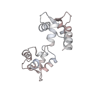 30448_7cr7_H_v1-3
human KCNQ2-CaM in complex with retigabine