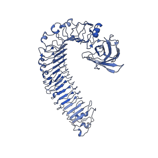 30449_7crb_A_v1-0
Cryo-EM structure of plant NLR RPP1 LRR-ID domain in complex with ATR1
