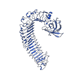 30449_7crb_A_v1-1
Cryo-EM structure of plant NLR RPP1 LRR-ID domain in complex with ATR1