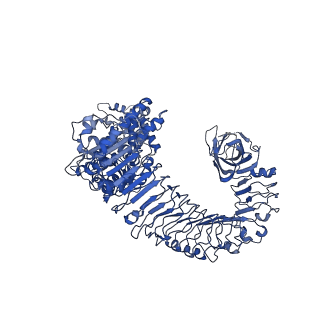 30450_7crc_B_v1-0
Cryo-EM structure of plant NLR RPP1 tetramer in complex with ATR1