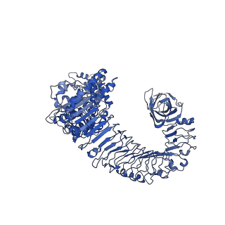 30450_7crc_B_v1-1
Cryo-EM structure of plant NLR RPP1 tetramer in complex with ATR1