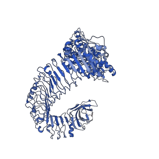 30450_7crc_C_v1-0
Cryo-EM structure of plant NLR RPP1 tetramer in complex with ATR1