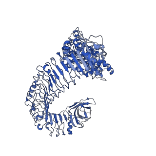 30450_7crc_C_v1-1
Cryo-EM structure of plant NLR RPP1 tetramer in complex with ATR1