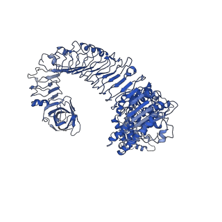 30450_7crc_D_v1-0
Cryo-EM structure of plant NLR RPP1 tetramer in complex with ATR1
