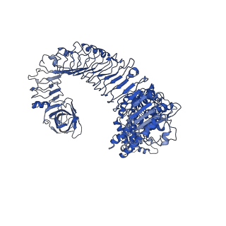 30450_7crc_D_v1-1
Cryo-EM structure of plant NLR RPP1 tetramer in complex with ATR1