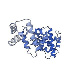 30450_7crc_E_v1-0
Cryo-EM structure of plant NLR RPP1 tetramer in complex with ATR1