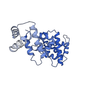 30450_7crc_E_v1-1
Cryo-EM structure of plant NLR RPP1 tetramer in complex with ATR1