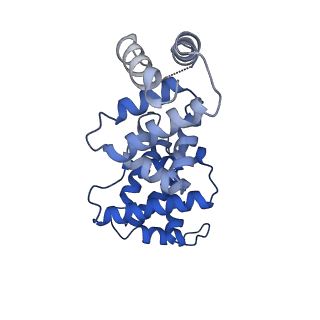 30450_7crc_F_v1-0
Cryo-EM structure of plant NLR RPP1 tetramer in complex with ATR1