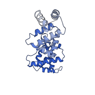 30450_7crc_F_v1-1
Cryo-EM structure of plant NLR RPP1 tetramer in complex with ATR1