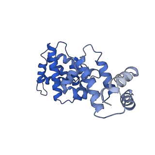 30450_7crc_G_v1-0
Cryo-EM structure of plant NLR RPP1 tetramer in complex with ATR1