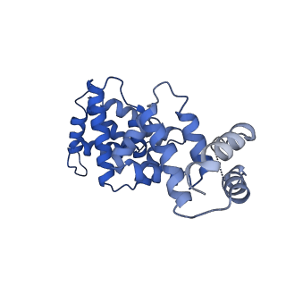 30450_7crc_G_v1-1
Cryo-EM structure of plant NLR RPP1 tetramer in complex with ATR1