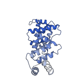 30450_7crc_H_v1-0
Cryo-EM structure of plant NLR RPP1 tetramer in complex with ATR1