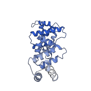 30450_7crc_H_v1-1
Cryo-EM structure of plant NLR RPP1 tetramer in complex with ATR1