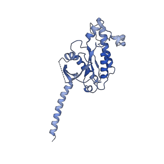 30452_7crh_A_v1-0
Cryo-EM structure of SKF83959 bound dopamine receptor DRD1-Gs signaling complex