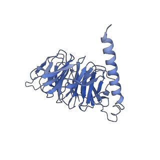 30452_7crh_B_v1-0
Cryo-EM structure of SKF83959 bound dopamine receptor DRD1-Gs signaling complex