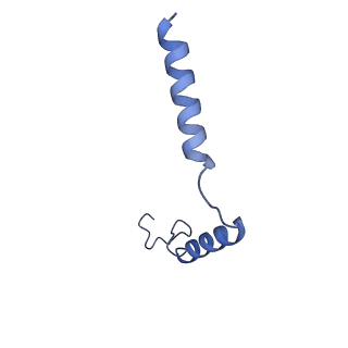 30452_7crh_G_v1-0
Cryo-EM structure of SKF83959 bound dopamine receptor DRD1-Gs signaling complex