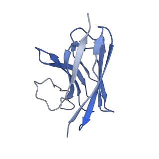 30452_7crh_N_v1-0
Cryo-EM structure of SKF83959 bound dopamine receptor DRD1-Gs signaling complex