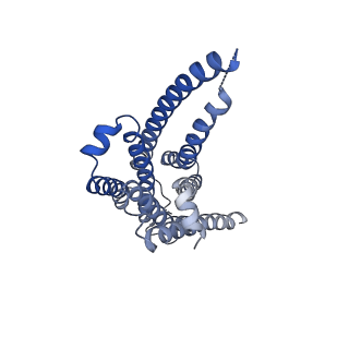 30452_7crh_R_v1-0
Cryo-EM structure of SKF83959 bound dopamine receptor DRD1-Gs signaling complex