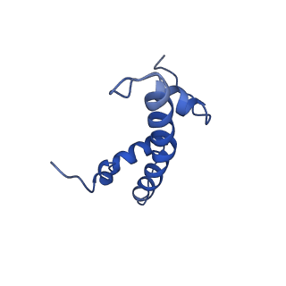 30453_7cro_B_v1-2
NSD2 bearing E1099K/T1150A dual mutation in complex with 187-bp NCP