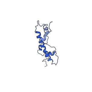 30453_7cro_C_v1-2
NSD2 bearing E1099K/T1150A dual mutation in complex with 187-bp NCP