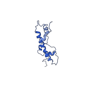 30453_7cro_C_v2-1
NSD2 bearing E1099K/T1150A dual mutation in complex with 187-bp NCP