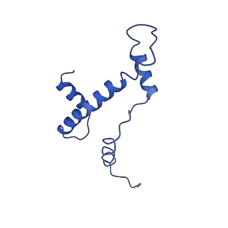 30453_7cro_E_v1-2
NSD2 bearing E1099K/T1150A dual mutation in complex with 187-bp NCP