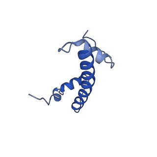 30455_7crp_B_v1-2
NSD3 bearing E1181K/T1232A dual mutation in complex with 187-bp NCP (1:1 binding mode)