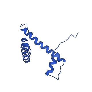 30455_7crp_D_v1-2
NSD3 bearing E1181K/T1232A dual mutation in complex with 187-bp NCP (1:1 binding mode)