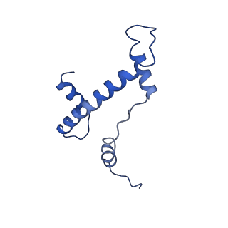 30455_7crp_E_v1-2
NSD3 bearing E1181K/T1232A dual mutation in complex with 187-bp NCP (1:1 binding mode)