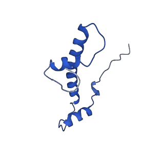 30455_7crp_F_v1-2
NSD3 bearing E1181K/T1232A dual mutation in complex with 187-bp NCP (1:1 binding mode)