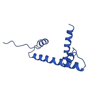 30455_7crp_H_v1-2
NSD3 bearing E1181K/T1232A dual mutation in complex with 187-bp NCP (1:1 binding mode)