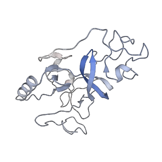 30455_7crp_I_v1-2
NSD3 bearing E1181K/T1232A dual mutation in complex with 187-bp NCP (1:1 binding mode)