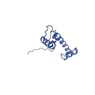 30455_7crp_M_v2-1
NSD3 bearing E1181K/T1232A dual mutation in complex with 187-bp NCP (1:1 binding mode)
