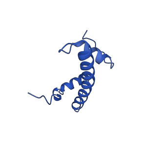 30456_7crq_B_v1-2
NSD3 bearing E1181K/T1232A dual mutation in complex with 187-bp NCP (2:1 binding mode)