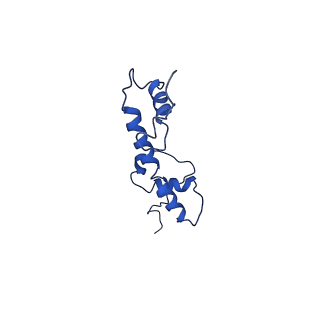 30456_7crq_C_v1-2
NSD3 bearing E1181K/T1232A dual mutation in complex with 187-bp NCP (2:1 binding mode)